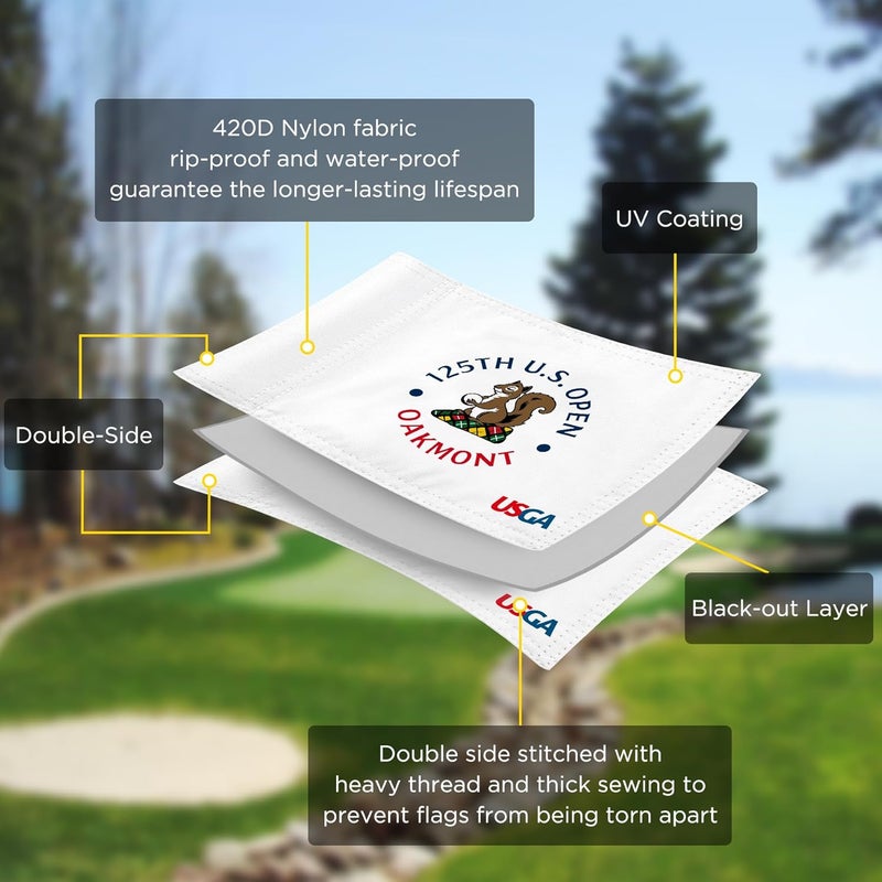 COGOLFING 2025 Themed Mini Golf Flag, 8x6 Inch, Double-Sided Silk-Printed, Durable 420D Nylon, Ideal for Backyard Practice Putting Green - Image 3